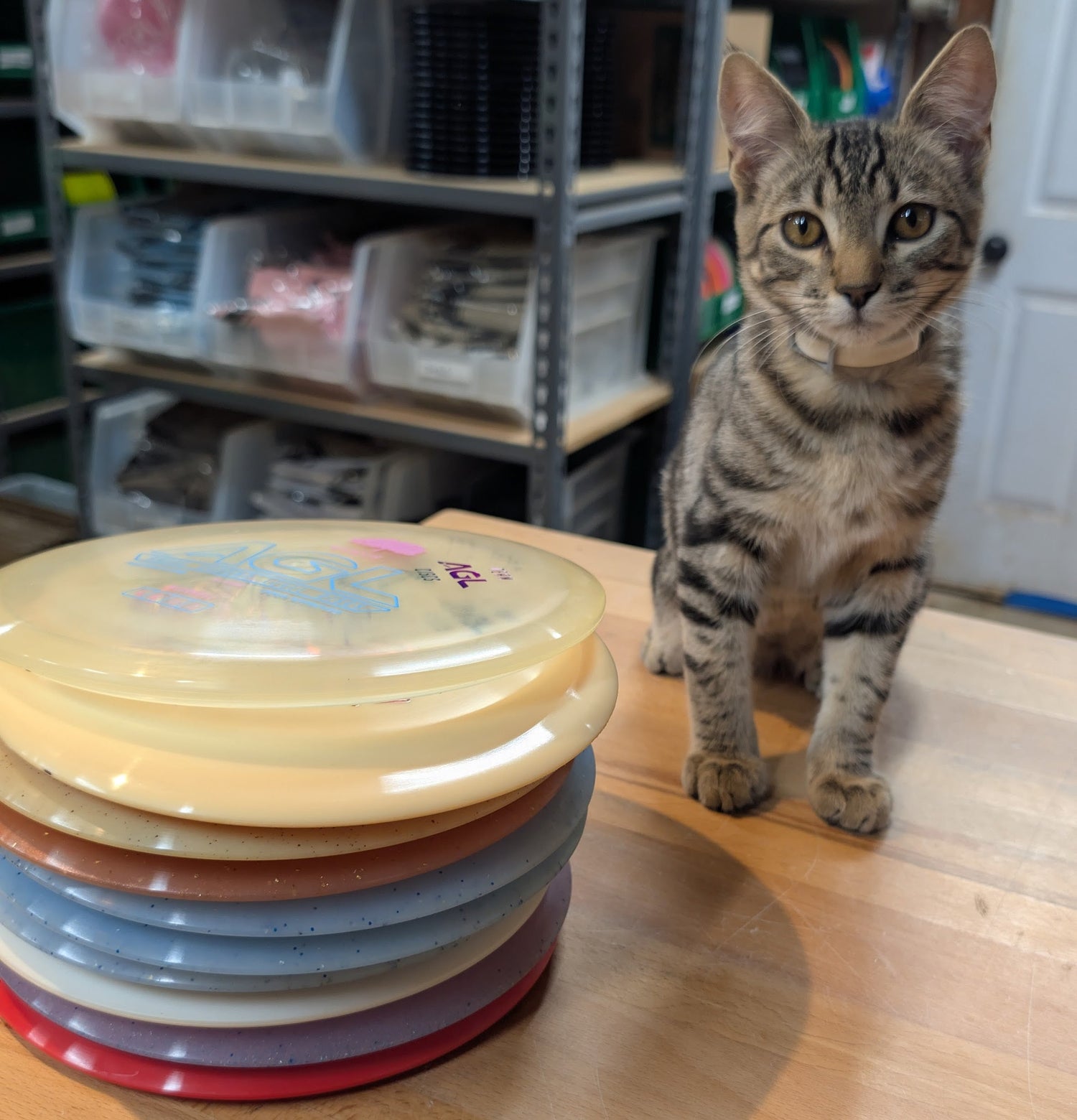 Out of Production AGL Molds